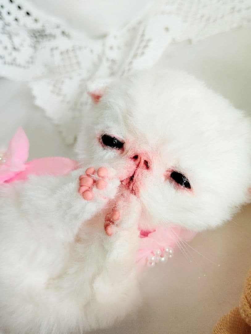 生後２週間♡赤ちゃん子猫ちゃん♡ねむねむ♡アートドール♡ぬいぐるみ♡