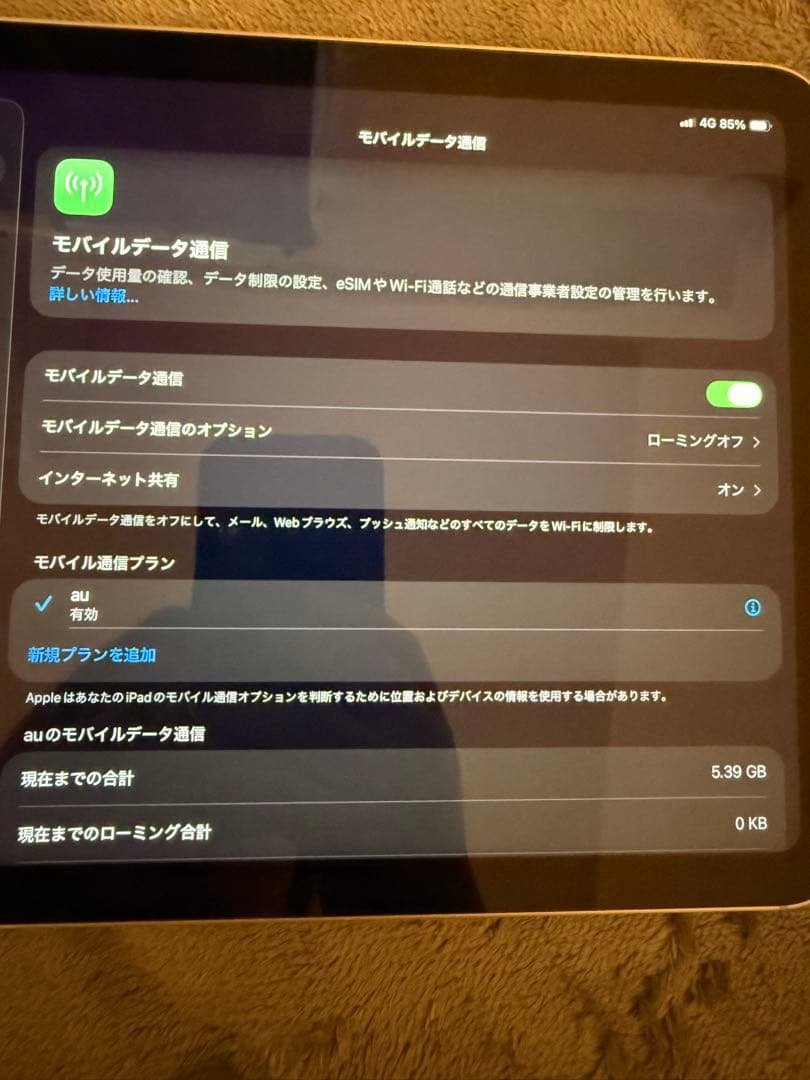 Apple iPad 10世代 Cellularモデル シルバー　美品