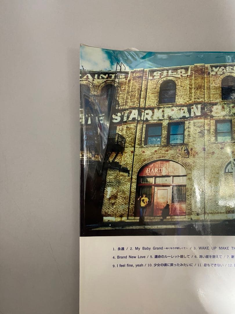 ZARD 永遠 OFFICIAL BAND SCORE